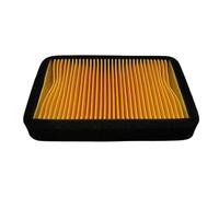 MTNDUYGV Motorbike Air Filter Cleaner For Benelli For TNT150 TNT150i TNT 150 150i Bj150-29A BJ150-29B BN 125 150cc 49200L290000 Air Filters