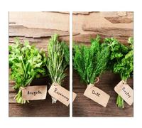 MTS Set of 2 Glass Chopping Boards - Herbs Design - Non-Slip Feet, Compatible with All Hob Types, Heat Resistant - Beautiful Hob Covers, Glass Worktop Savers for Kitchen