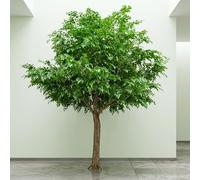 MTSYXYM Artificial Tree with Real Wood Trunk - Realistic Fake Locust Tree Large Faux Greenery for Indoor Living Room Decor and Outdoor Backyard Landscaping(H150xW100cm)