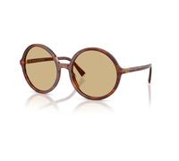 MU B02S Sunglasses - female - Miu Miu - Sunglasses - Brown - 59 MM - Accessories 59 MM