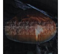 mu tate - Wanting Less [VINYL]