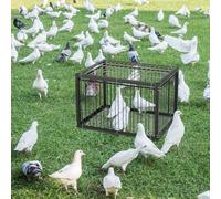 MUALROUS 43cm Bird Cage with Escape Proof Design Pigeon Bird Trap Cage Small Birds Folding Disposable Entrance Outdoor Patio Garden Farm Warehouse Humane Trap for Sparrow Mouse