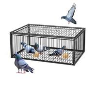 MUALROUS Bird Trap with Escape Proof Design - Folding Cage with Disposable Entrance for Pigeon, Sparrow, Mouse - Outdoor Patio Garden Farm Warehouse Humane Trap (64 * 44 * 26cm)