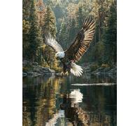 Muaor Frameless Paint by Numbers for Adults 20x30cm,Pond Eagle Jungle Paint by Numbers Kits for Beginners,DIY Acrylic Oil Painting by Number kit Art Craft for Home Wall Decor Gifts