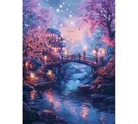 Muaor Night Bridge Scenery Paint by Numbers Kits for Adults Beginners,Painting by Numbers Kits on Canvas for Adults Frameless,Easy DIY Acrylic Pigment Drawing Paintwork for Home Wall Decor 30x40cm