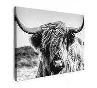 MuchoWow© Canvas Wall Art 16"x12" / 40x30 cm Decor Prints for Living Room Decorative Canvases Hall Artwork Scottish highlander - Close up - Horns - Fur - Black and white