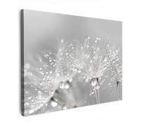 MuchoWow© Canvas Wall Art 28"x20" / 70x50 cm Decor Prints for Living Room Decorative Canvases Hall Artwork Dandelion - Water drops - Still life - Modern