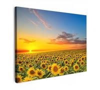 MuchoWow© Canvas Wall Art 28"x20" / 70x50 cm Decor Prints for Living Room Decorative Canvases Hall Artwork Flowers - Sunflower - Sunset - Night - Orange
