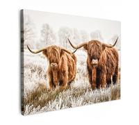 MuchoWow© Canvas Wall Art 31"x24" / 80x60 cm Decor Paintings Prints framed on Canvas Decorations Wallart Scottish highlander - Cow - Animals - Nature - Heather