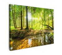 MuchoWow© Canvas Wall Art 31"x24" / 80x60 cm Home Decor Paintings for Living Room Decorations Gifts Hallway Forest - Landscape - Water - Trees - Sun - Green - Nature