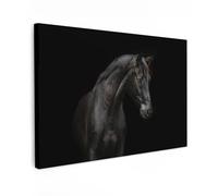 MuchoWow© Canvas Wall Art 35"x24" / 90x60 cm Decor Paintings Print framed on Canvas Pictures for Hallway Horse - Animals - Black - Portrait