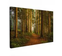 MuchoWow© Canvas Wall Art 35"x24" / 90x60 cm Decor Paintings Prints framed on Canvas Decorations Wallart Forest - Nature - Trees - Landscape - Leaves