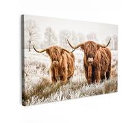 MuchoWow© Canvas Wall Art 35"x24" / 90x60 cm Decor Paintings Prints framed on Canvas Decorations Wallart Scottish highlander - Cow - Animals - Nature - Heather