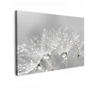 MuchoWow© Canvas Wall Art 35"x24" / 90x60 cm Decor Prints for Living Room Decorative Canvases Hall Artwork Dandelion - Water drops - Still life - Modern