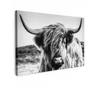MuchoWow© Canvas Wall Art 35"x24" / 90x60 cm Decor Prints for Living Room Decorative Canvases Hall Artwork Scottish highlander - Close up - Horns - Fur - Black and white