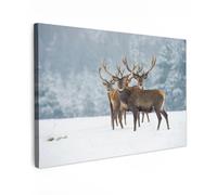 MuchoWow© Canvas Wall Art 47"x31" / 120x80 cm Decor Paintings Print framed on Canvas Pictures for Hallway Deer - Animals - Snow - Winter - Landscape - Nature