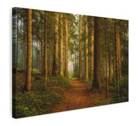 MuchoWow© Canvas Wall Art Decor Paintings Prints framed | 35"x24" / 90x60 cm - Decorations Wallart Forest - Nature - Trees - Landscape - Leaves