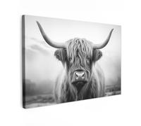 MuchoWow© Canvas Wall Art Work 12"x8" / 30x20 cm House Decoration for Living Room Home Decor Pictures Walls Scottish Highlander - Cow - Coat - Horns - Black and White - Nature