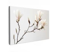 MuchoWow© Canvas Wall Art Work 35"x24" / 90x60 cm House Decoration for Living Room Home Decor Pictures Walls Flowers - White - Nature - Magnolia