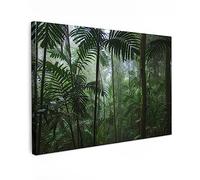 MuchoWow© Canvas Wall Art Work 35"x24" / 90x60 cm Room Decor Painting Wallfillers Picture Decoration Prints Rainforest - Tropical - Jungle - Trees - Plants