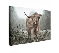 MuchoWow© Canvas Wall Art Work 47"x31" / 120x80 cm House Decoration for Living Room Home Decor Pictures Walls Scottish highlander - Nature - Autumn - Animals - Wildlife - Forest