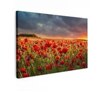 MuchoWow© Canvas Wall Art Work 47"x31" / 120x80 cm Room Decor Painting Wallfillers Picture Decoration Prints Sunset - Poppies - Red - Flowers - Field - Nature