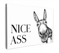 MuchoWow© Canvas Wall Art Work 90x60 cm House Decoration for Living Room Home Decor Pictures Walls Quote - Donkey - Animals - Nice ass - Proverbs