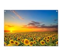 MuchoWow© Garden Poster Wall Decor Posters Balcony Accessories Outdoor | 35"x23" / 90x60 cm - Decorations Gardens Outside Art Decoration Flowers - Sunflower - Sunset - Night - Orange