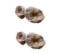 MUCKLILY 1pc Ore Specimens for Geology Learning Supply Educational Training Aid for Home Decor Science Teaching Multipurpose Crystal Collection