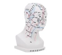 MUCKLILY 20CM Head Acupuncture Model 4 Functional Acupoint Massage Head Model for Teaching and Facial Treatment for Traditional Chinese Medicine Practitioners