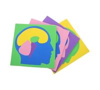 MUCKLILY 4pcs Montessori Human Brain Anatomy Puzzle for and Preschoolers, Educational STEM Brain Model Blocks with Interlocking Pieces for Early Learning and Cognitive Development