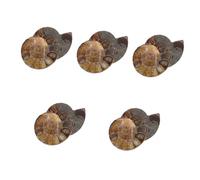 MUCKLILY 5sets 2pcs Educational Ammonite Pendant Natural Adornment Unique Ammonite Model for Home and Learning for and Present Giving 2pcs*5