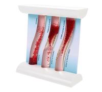 MUCKLILY Dynamic Blood Model for Anatomical Study Tool Illustrating Impact Arteries for Students and Teachers High Simulation Design