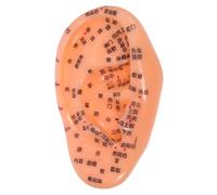 MUCKLILY Ear Model for Acupuncture Practice with Clear Chinese Markings Detailed Reflexology Zones Visual Teaching Aid for Ear Massage and Traditional Chinese Medicine Learning Educational