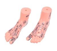 MUCKLILY Foot Teaching Model Foot Massage Display Tool for Physiology Education and Reflexology Training in Medical and Nursing Schools