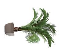 MUCKLILY Lifelike Green Leaf Wall Decals PVC Material and Safe Cleaning Features for Door and Corridor Decoration Realistic Palm Tree Wall Stickers and Home Enhancement
