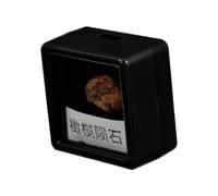 MUCKLILY Meteorolite Model Classroom Teaching Specimen Irregular Meteorite Stone Decor for Science Education Space Meteorite Rocks Table Decoration Safe and Lightweight Teaching Aid