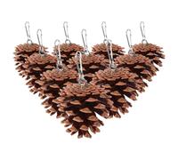 MUCKLILY Natural Pine Cone Bird Providing Endless Entertainment 10pcs for Parrots and Birds Safe to Chew and Light in Weight Hanging for Cage