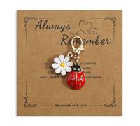 MUCOOS Red Ladybug Keychain, Comes with an Encouragement Card and a Small Daisy Pendant, Cute Cartoon, Gift for Friends, Positive Gift