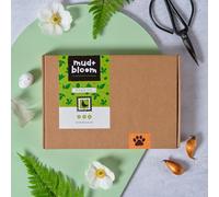 Mud & Bloom April Box: Award-winning monthly children's gardening & nature activity box for 3-8 year olds I Eco-friendly gift for kids (Single box)