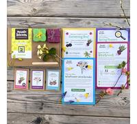 Mud & Bloom March Gardening Box - Organic and plastic free gardening activities I Eco-friendly gift for children I Grow organic beetroot and wildflowers!