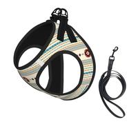 Mud Cloth Blue Red No Pull Dog Harness and Leash Set, Cute Reflective Adjustable Vest for Small Dogs,Breathable Mesh Puppy Harness for Walking Hiking,Small