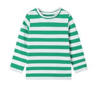 Mud Kingdom Boys Striped T-Shirts for Toddler Boy Long Sleeve Round Collar Tee Cotton Green Stripe White 4 Years