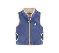 Mud Kingdom Little Boys Outerwear Vest Fleece Cute Zip Up Cartoon Blue 4 Years
