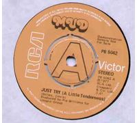 MUD - MUD - JUST TRY - 7 inch vinyl / 45