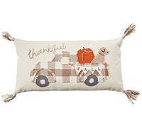 Mud Pie Fall Tassel Pillow, Tan