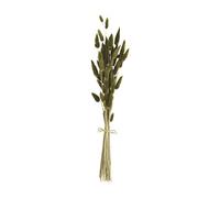 Mud Pie Preserved Bunny Tails, Green