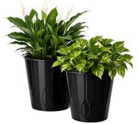 Muddy Hands 22 Litre Decorative Plastic Planter - Stylish Indoor & Outdoor Plant Pot for Home & Garden Decor, Textured Design, No Drainage Holes, Lightweight Flower Container (2, Black)