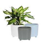 Muddy Hands Set of 3 - Blue, Grey & White Ceramic Planters with Legs Indoor Home House Decorative Flower Succulent Cactus Herb Small Round Plant Pot Cover Holder