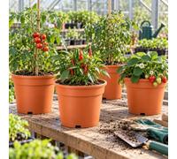 Muddy Hands Terracotta Plastic Plant Pots, Pack of 10, 10 Litre Round Outdoor Garden Planters with Drainage Holes, 100% Recycled Polypropylene, for Flowers, Herbs, Greenhouses & Nurseries